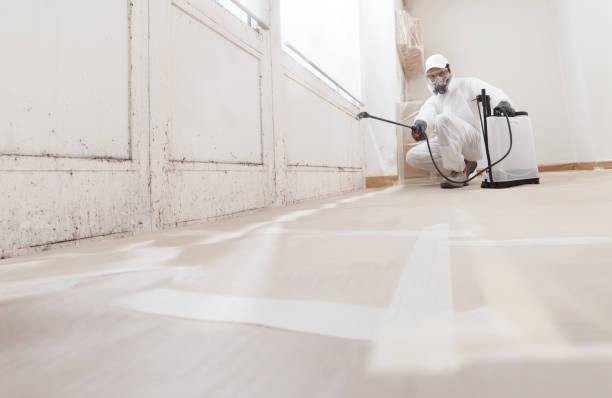 24/7 Emergency Black Mold Remediation experts in Free Soil, MI